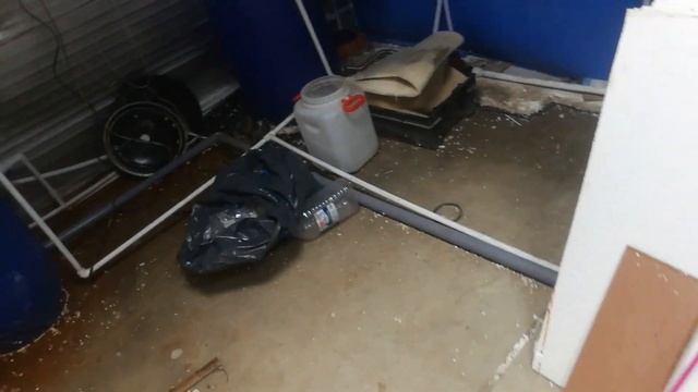 Взвешаем 4х месячных прудовых креветок розенберга смотреть онлайн