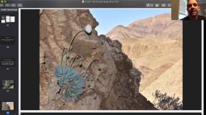 FLOWER MORPHOLOGY, TAXONOMY & EVOLUTION Class (LONG VID)