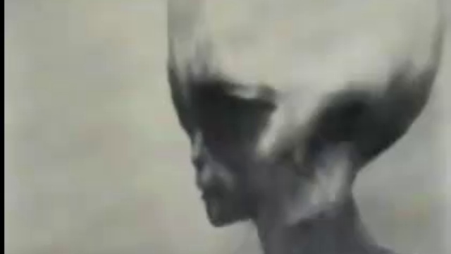 Инопланетянин из породы "Серых" (Zeta Reticula) 