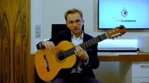 Gipsy Kings Pharaon Guitar Lesson + TAB - FULL TUTORIAL