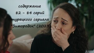 Содержание 82, 83 и 84 серий турецкого сериала "Зимородок" (РФ, 2023)