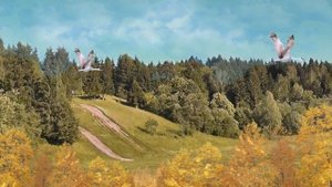 Журавли. Поет Виктор Бекк