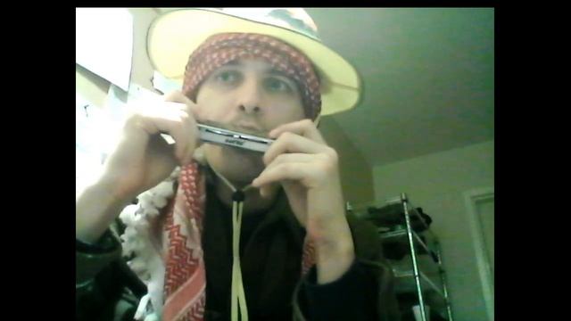 I'm @unskullcapped and this is Pinwheel Marasmius Mushroom #2 смотреть онлайн