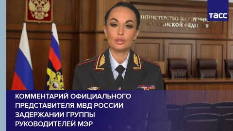Комментарий официального представителя МВД России  задержании группы руководителей МЭР