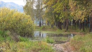 Все заботы ушли, все тревоги исчезли  Для женщин Сытин Г.Н.