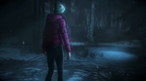 Until Dawn: Before You Buy