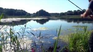 За крупным карасём на утреннюю зорьку, 42 серия.mp4