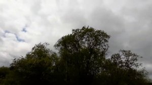 Источник в деревне Новоалексеевка Манского района