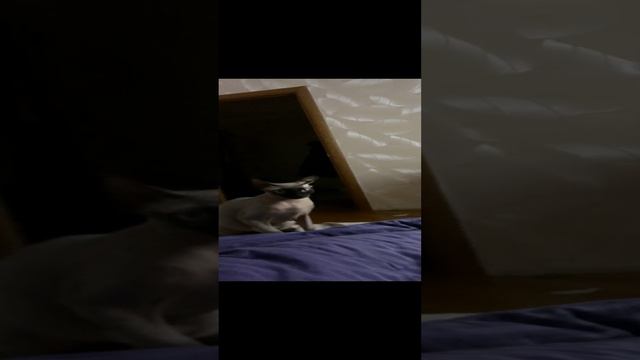 Моникс и Боня❤️💕