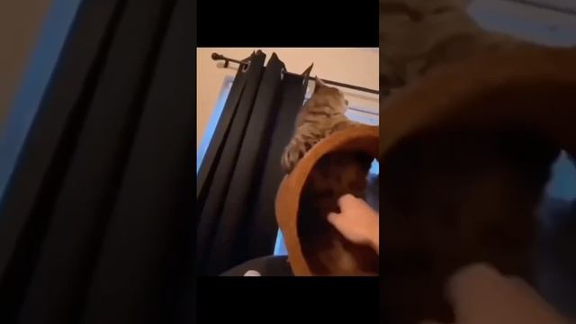 Вызывайте экзорциста