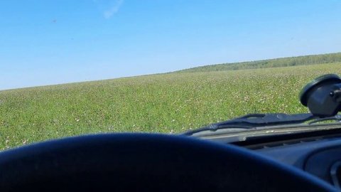 Поиск