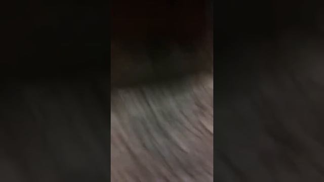 По булыжникам Питера смотреть онлайн