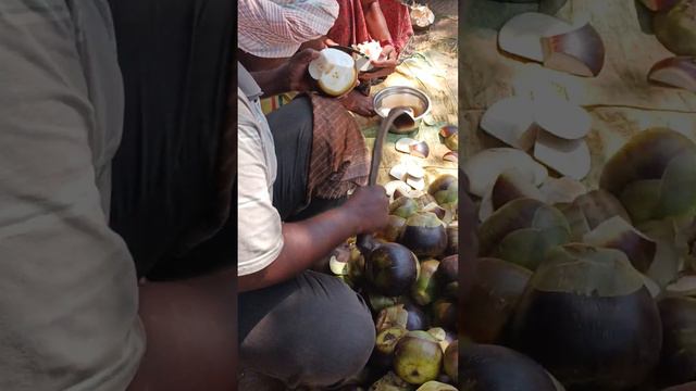 Amazing Palm Fruit cutting Skills 😎 Ice Apple