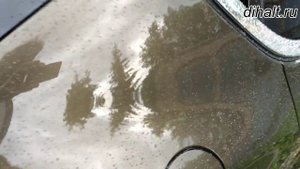 soft 99 king of gloss нанесение и отчет за 3 месяца эксплуатации.