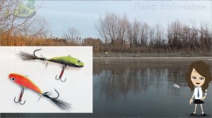 Топ 6 лучших приманок для рыбалки на щуку зимой! Самые уловистые наживки и приманки на щуку зимой!