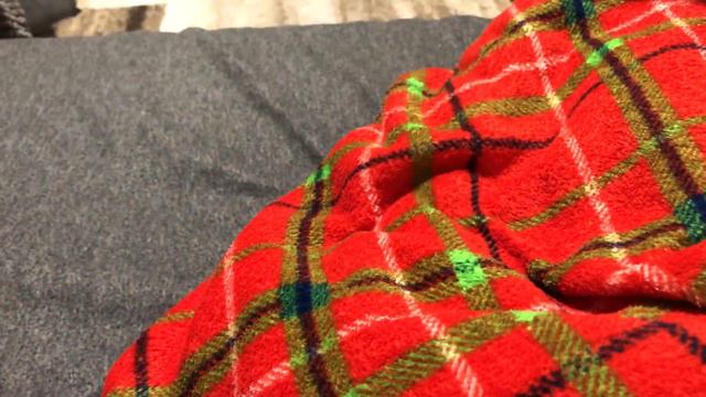 Вечер с Маффином смотреть онлайн