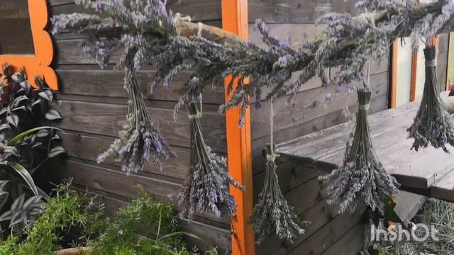 Композиции из лаванды смотреть онлайн