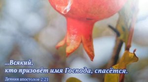 Смотрите правильно! " Ибо дал нам Бог духа не боязни..."