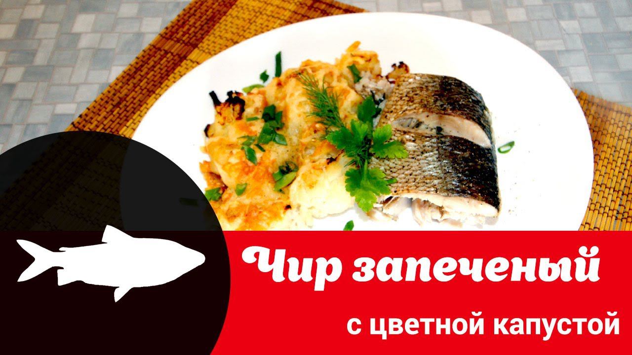 Видео рецепт приготовления чира в духовке: как быстро, просто и вкусно запечь северную рыбу чир