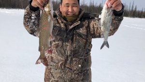 Подлёдная рыбалка в Якутии. СЕВЕРНАЯ ОХОТА - NORTH HUNTING