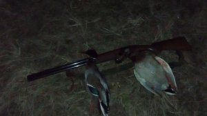 вечерка с с мр 27 сильвер