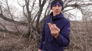 Хозяева бросили дома, не подозревая что в их огородах. Коп поиск монет 2023