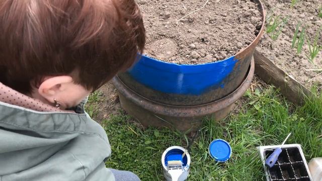 Привожу в порядок Превращаем старые бочки в замечательные клумбы Тестирую краску из Светофора смотреть онлайн