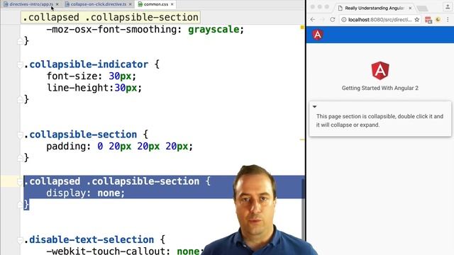 ? Angular Tutorial For Beginners - Introduction to Angular Directives - Write a Custom Directive смотреть онлайн