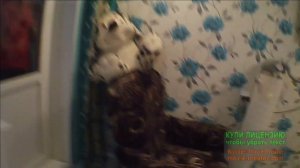 Пранк над другом закрыл на балконе