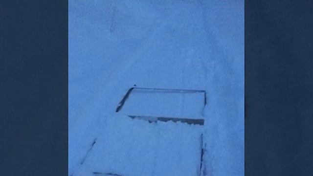 100 mil❄️? смотреть онлайн