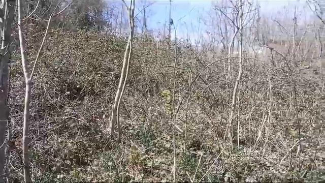 Земельный участок с видом на горы с/т "Алмаз" с. Агой смотреть онлайн