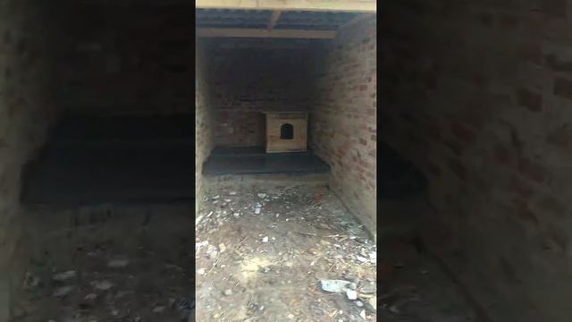 ПРИЮТ НУЖДАЕТСЯ В ПОМОЩИ.... смотреть онлайн