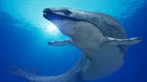 Странные ВЫМЕРШИЕ животные Часть 3