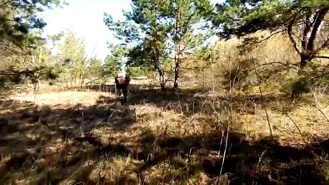 Сколько я бродил,сколько колесил...
