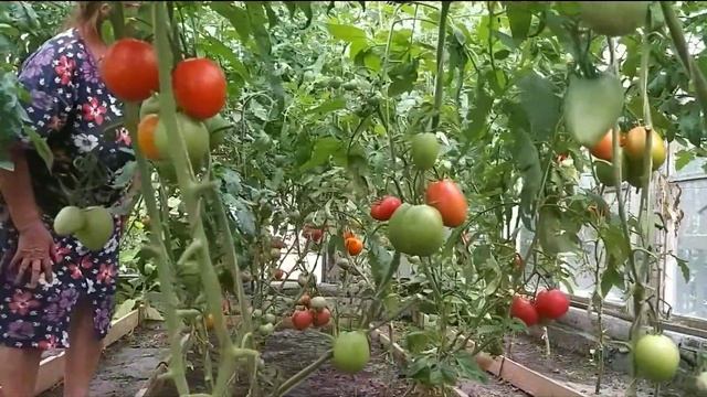 На даче у родителей. смотреть онлайн