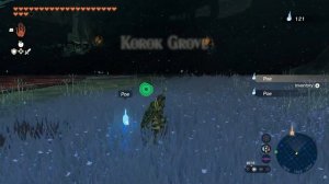 How to Get to Great Hyrule Forest Zelda Tears of The Kingdom