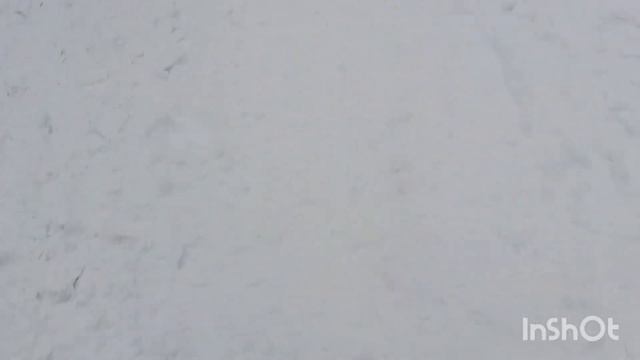 Утренник у Марка /Новогодний автобус /Завалило снегом /Купила бокалы смотреть онлайн