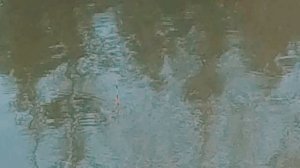 Херабуна в японском стиле. Ловля в толще воды