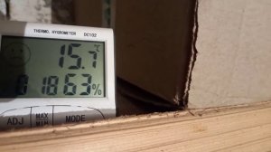 Вешенки на 25 день, появились примордии.