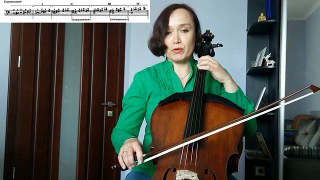 16 урок-Как найти 1, 2, 3 и 4 позиции на виолончели?