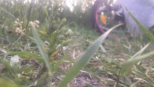 Глазами ежа смотреть онлайн