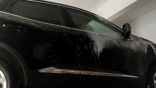 Renault Kadjar Detailing - CarPro CQuartz UK 3.0 Ceramic Coating смотреть онлайн