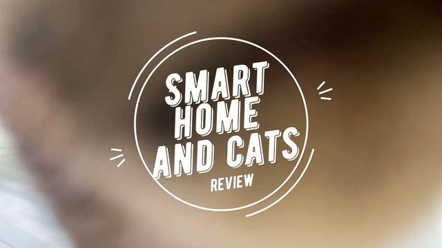Канал умный дом и котики посвящён обзору техники, умному дому и конечно же пушистым любимцам смотреть онлайн