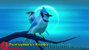 Лъэгъуныгъэ Къафэ