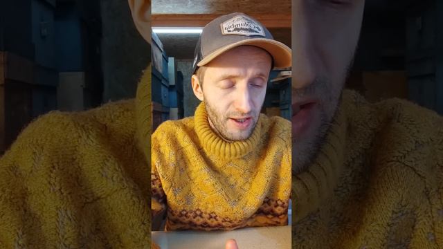 С чего начать пчеловодство. Что надо знать если вы решили завести пчёл.