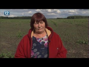 Местные жители (10.09.2019)