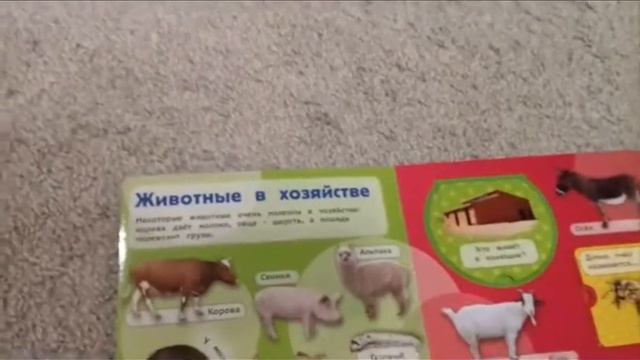 Книга с вырубкой Домашние животные Росмэн (Rosman) смотреть онлайн