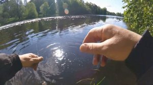 Летняя мормышка. Безмотылка. Карась.