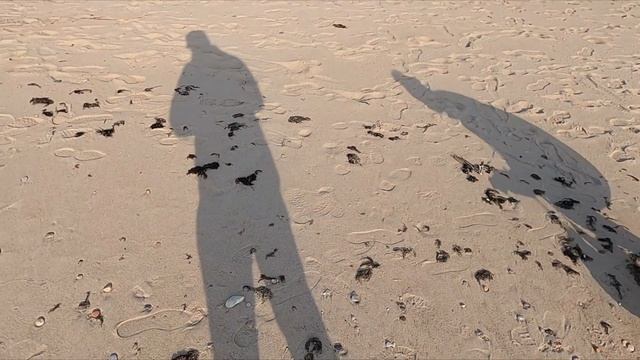 Путешествуя по России . Калининград пляж Янтарный . Сбор янтаря в Калининграде