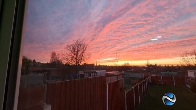 Подснежники цветут смотреть онлайн